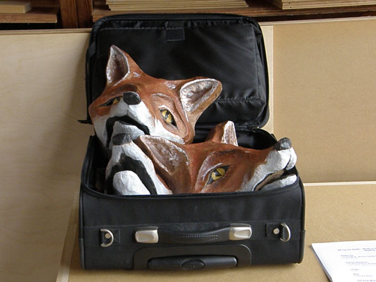 Geoffrey Navias' foxes in a suitcase
