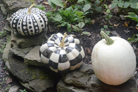 Decorative pumpkins welcome you to Marilyn Fegan's studio