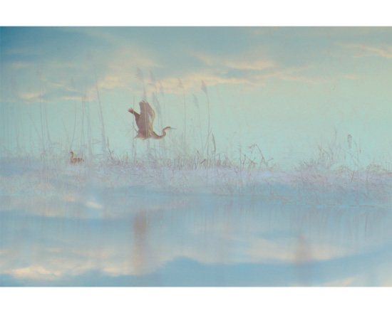 "Morning" &nbsp; layered abstract digital photograph &nbsp; 14"x9.5" &nbsp; 2026