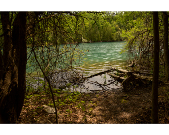 "Through the Green" &nbsp; digital photograph &nbsp; 14"x9.5" &nbsp; 2026