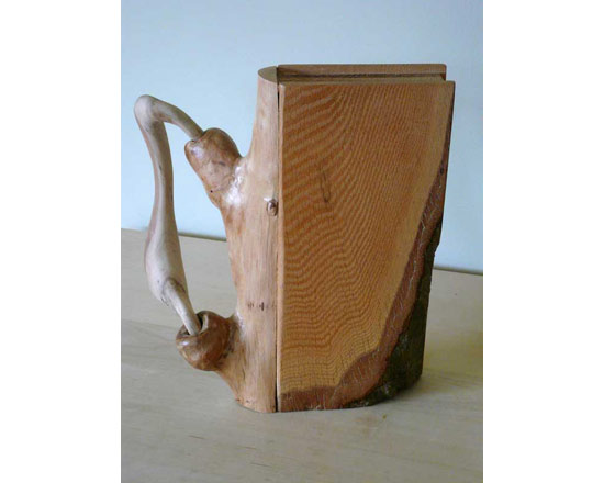 Patent Pending   10¾" X 3" X 10"     2007